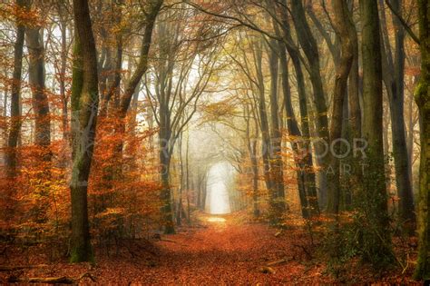 Lars Van De Goor Photography Art In Love With Fall