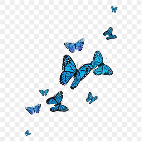 Aesthetic Flying Butterfly PNG Images Free Photos PNG Stickers