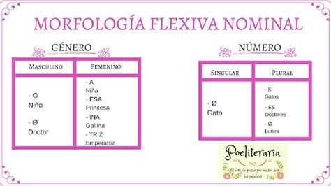 Poeliteraria Actividades De Clase Morfolog A Estructura De Las