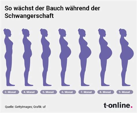 Ab wann wächst der Babybauch verschiedenen Phasen der