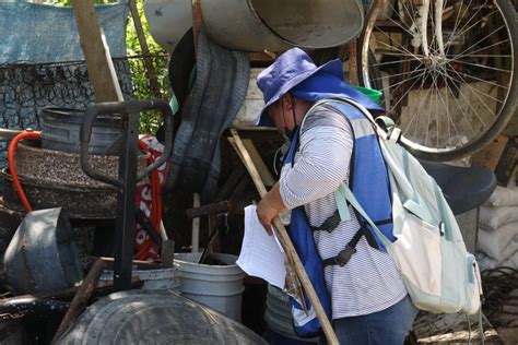 Refuerzan Combate Contra El Dengue En Kanas N Haz Ruido