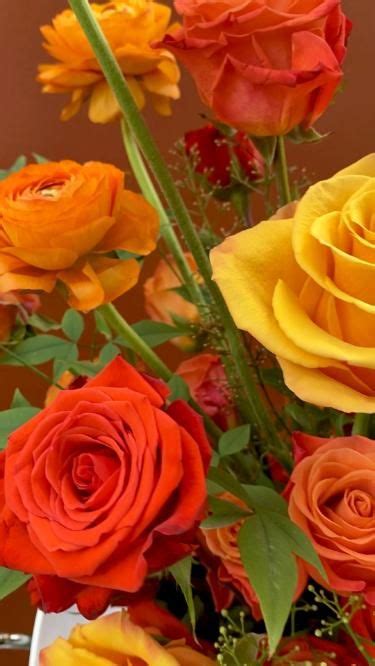 Our Seasonal Flowers Full Of Radiant Colors Cultivating Roses