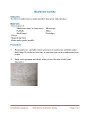 BIOL200 12Mushroom Pdf Mushroom Activity Objective To Observe