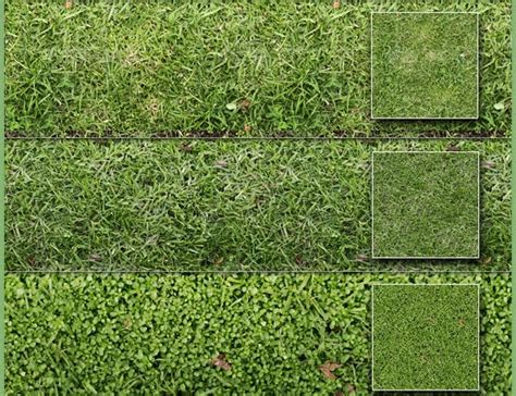 60+ Best Photoshop Grass Textures Free PSD Download