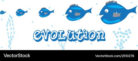 Fish evolution Royalty Free Vector Image - VectorStock