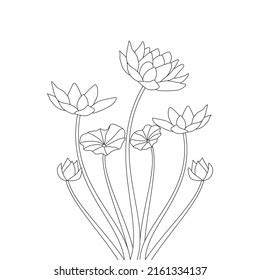 Water Lily Pencil Drawing Coloring Page Stock Vector (Royalty Free ...