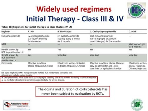 Lupus Nephritis Management The Soft Evidence