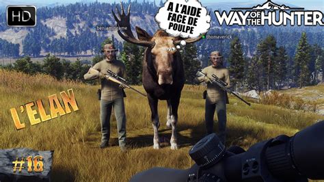 WAY OF THE HUNTER GAMEPLAY 16 UNE BELLE CHASSE À L ÉLAN JEU DE