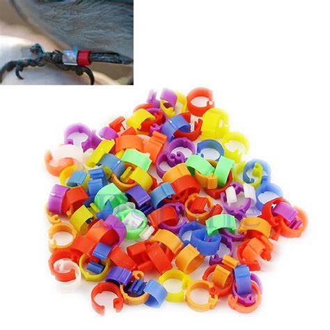 100 Pcs Chicken Hen Pigeons Rings 8mm Bayonet Identification Ring