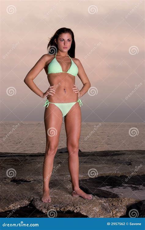 Reizende Junge Frau In Einem Bikini Bild Bild 2957562