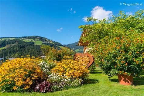 Blumenpracht Beim Garten Im Unterwimmhof Gartenanlage Im Unterwimmhof