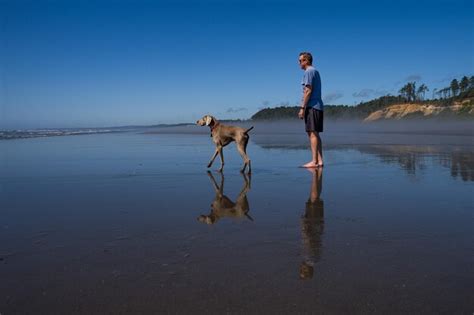 Un Hombre Y Su Perro En La Playa Foto Premium