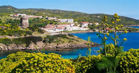 Falcone E Borsellino All Asinara