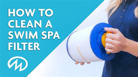 How To Clean Swim Spa Filters YouTube