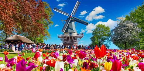 Holland Flower Festival Every 10 Years | Best Flower Site