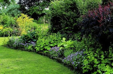 25 Part Shade Garden Borders Ideas Worth A Look Sharonsable