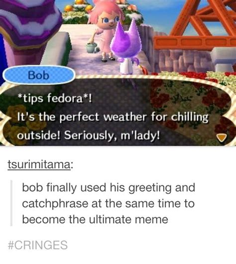 Animal Crossing Mean Villagers Quotes Abiewee