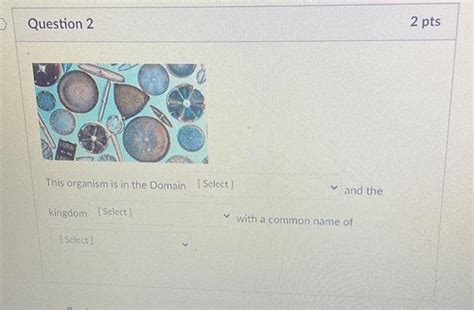 Solved Question 2 | Chegg.com 