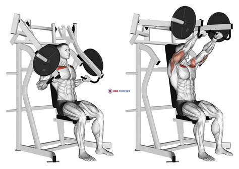 Lever Incline Chest Press - Home Gym Review
