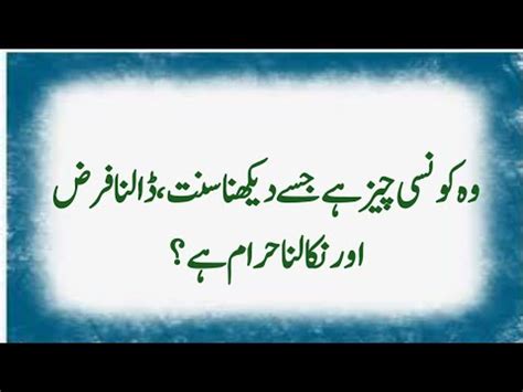 Islamic Questions And Answers Dilchasp Islami Malomat Islamic Quiz