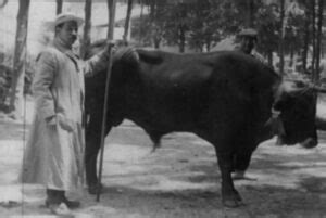 El día de la ciencia en Galicia Protagonista Rof Codina veterinario