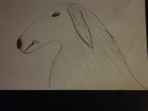 Borzoi Sketch By Katphishart On Deviantart