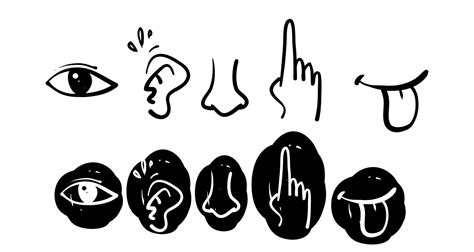 Icon Set Of Five Human Senses Vision Eye Smell Nose Hearing Ear