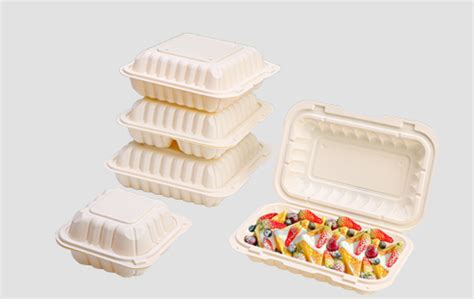 Clamshell Food Box