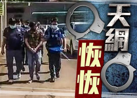 詐騙豬仔受困8天跳車報案 警拘3人再救5人