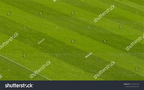 Soccer Grass Field Stock Photo 1187337733 | Shutterstock