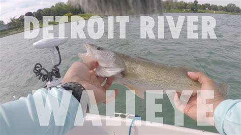 Detroit River Fishing Jigging For Summer Walleye Youtube