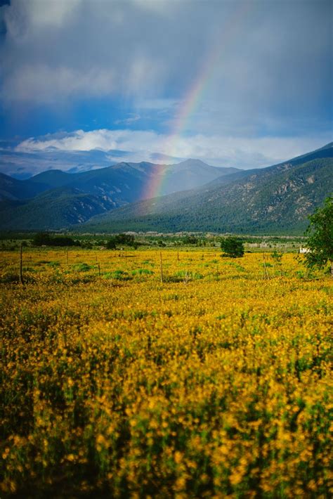 Yellow Season In Taos Smithsonian Photo Contest Smithsonian Magazine