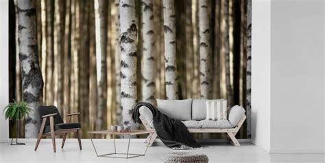 Birch Tree Wallpaper & Wall Murals | Wallsauce US