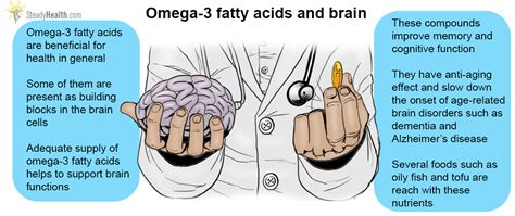 Omega-3 Fatty Acids And Their Effect On Brain Function | Nervous System ...