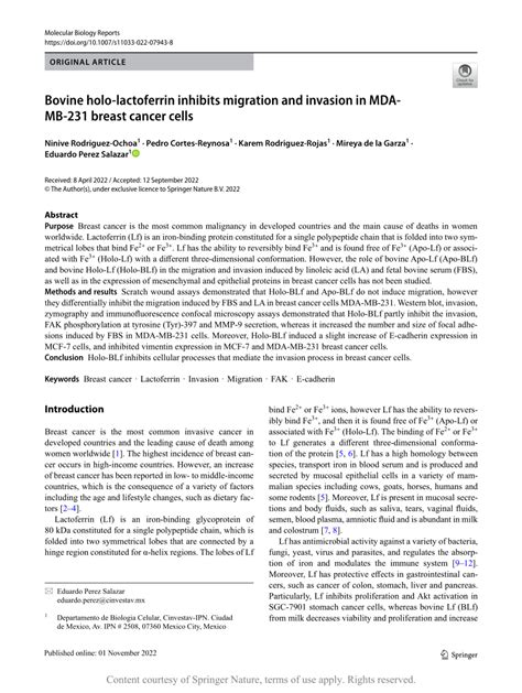 Pdf Bovine Holo Lactoferrin Inhibits Migration And Invasion In Breast