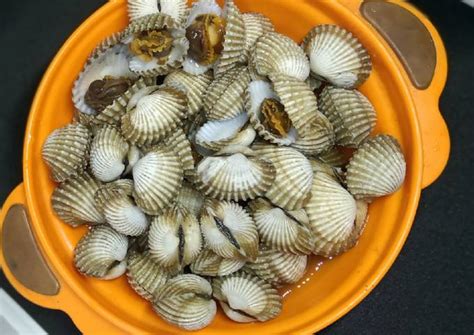 Resep Kerang Dara Rebus Simple Oleh Nurma Lailika Cookpad