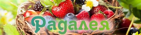 Эко Товары Радалея | Органические продукты «Радалея» - это естественная ...