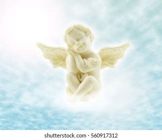 Little Angel Wings Heaven Stock Photo 560917312 | Shutterstock