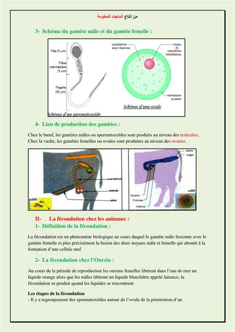 Solution Chapitre 7 La Reproduction Chez Les Animaux Studypool