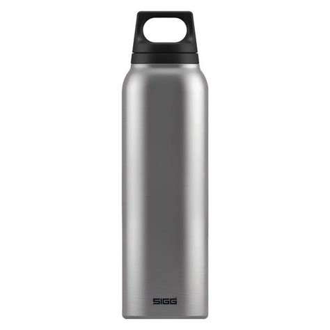 SIGG Thermo Trinkflasche Hot Cold Brushed L Kaufen Auf Ricardo