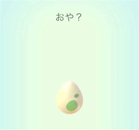 【ポケモンgo】早朝から2㎞タマゴを孵化させたら・・・ Momo Blog