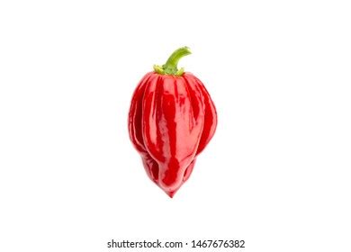 Hot Chili Bg Photos And Images Shutterstock