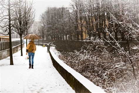 Banco De Imagens Neve Congelando Rvore Agua Ramo Geada