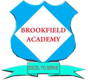 Brookfield Academy Logo – Brookfield SCHOOLS – KARATINA