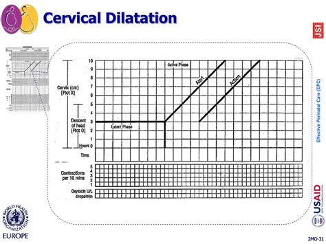 cervical dilation   amanda hackler blog