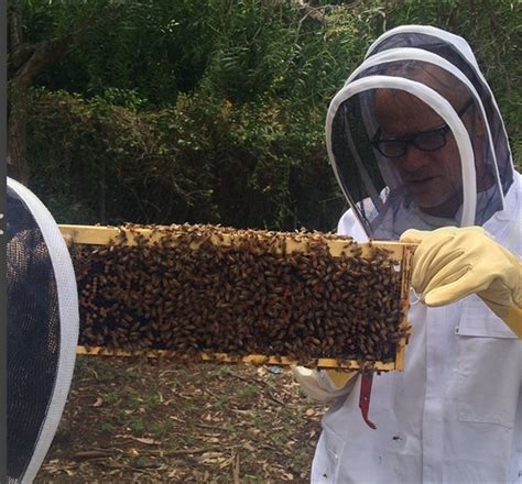 Baixista do Red Hot Chilli Peppers é apicultor