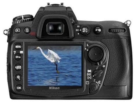 Nikon D300 Vs Nikon D5600 Detailed Comparison PXLMAG