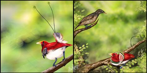 King Bird of Paradise by pop-ipop on DeviantArt