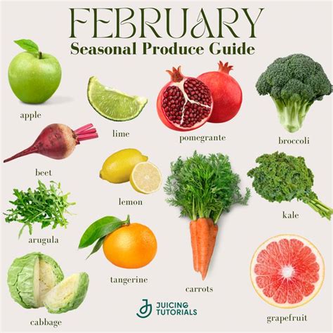 February in season produce | winter fruits and veggies in 2024 | In ...