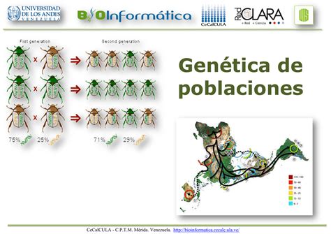 Estructura De Las Poblaciones